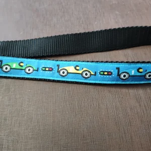 Racecar Nylon Dog Collar