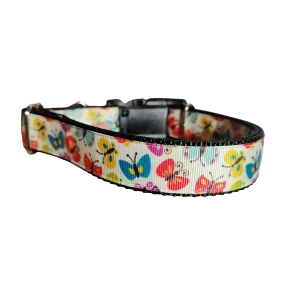 Rainbow Butterflies Nylon Dog Collar