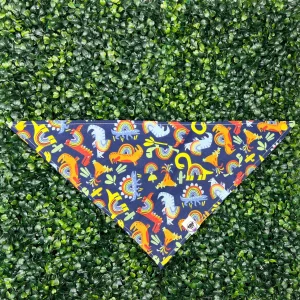 Rainbow Dinosaurs Bandana