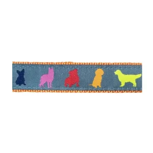 Rainbow Dogs