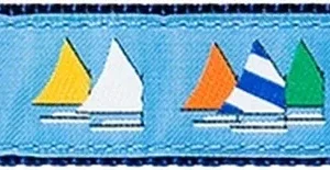 Rainbow Fleet on Light Blue