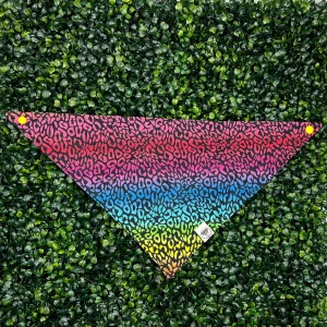 Rainbow Leopard Print Bandana