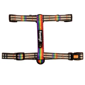 Rainbow Plaid Free