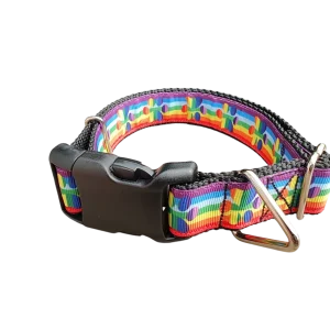 Rainbow Pride Paws Nylon Dog Collar