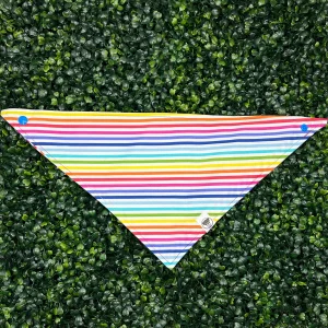 Rainbow Pride Stripe Bandana