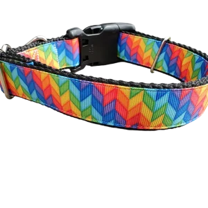 Rainbow Rays Nylon Dog Collar