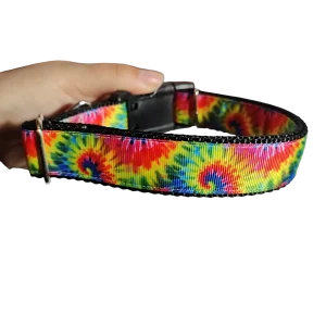 Rainbow Tie