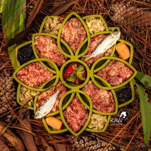 Raw Beef & Wild-Caught Salmon Meal Blend for Cats & Dogs — Prey Model Raw