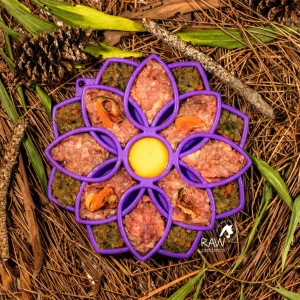 Raw Duck PMR Meal Blend for Cats & Dogs — Free