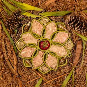Raw Turkey Meal Blend for Cats & Dogs — Prey Model Raw