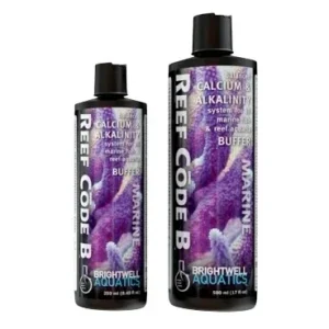 Reef Code B