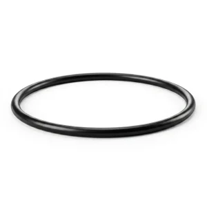 Replacement O-Ring for Iwaki MD-15RT Water Pump