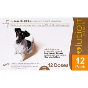 Revolution For Dogs 10