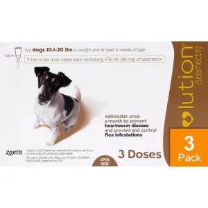 Revolution For Dogs 10