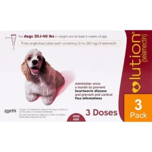 Revolution For Dogs 22