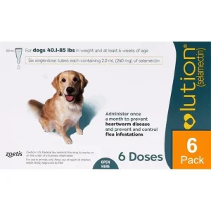 Revolution For Dogs 44