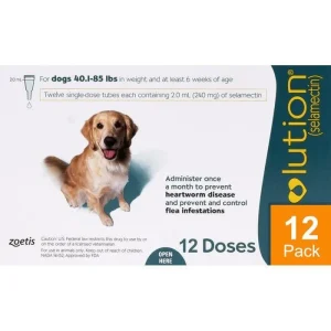 Revolution For Dogs 44