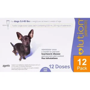 Revolution For Dogs 5
