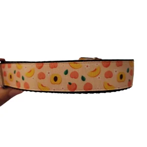 Ripe Peach Nylon Dog Collar