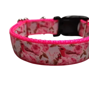 Rose Finch Bird Nylon Dog Collar