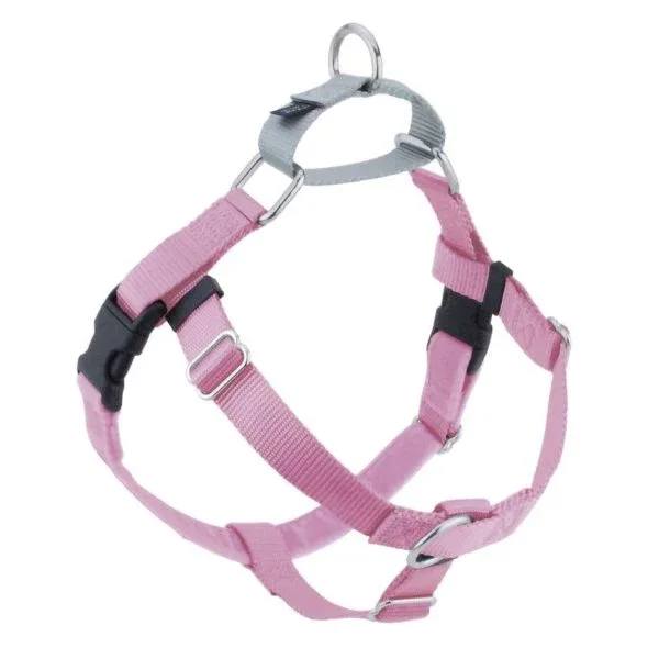 Rose Pink Freedom No
