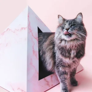 'Rose Quartz' Cardboard Cat Pyramid