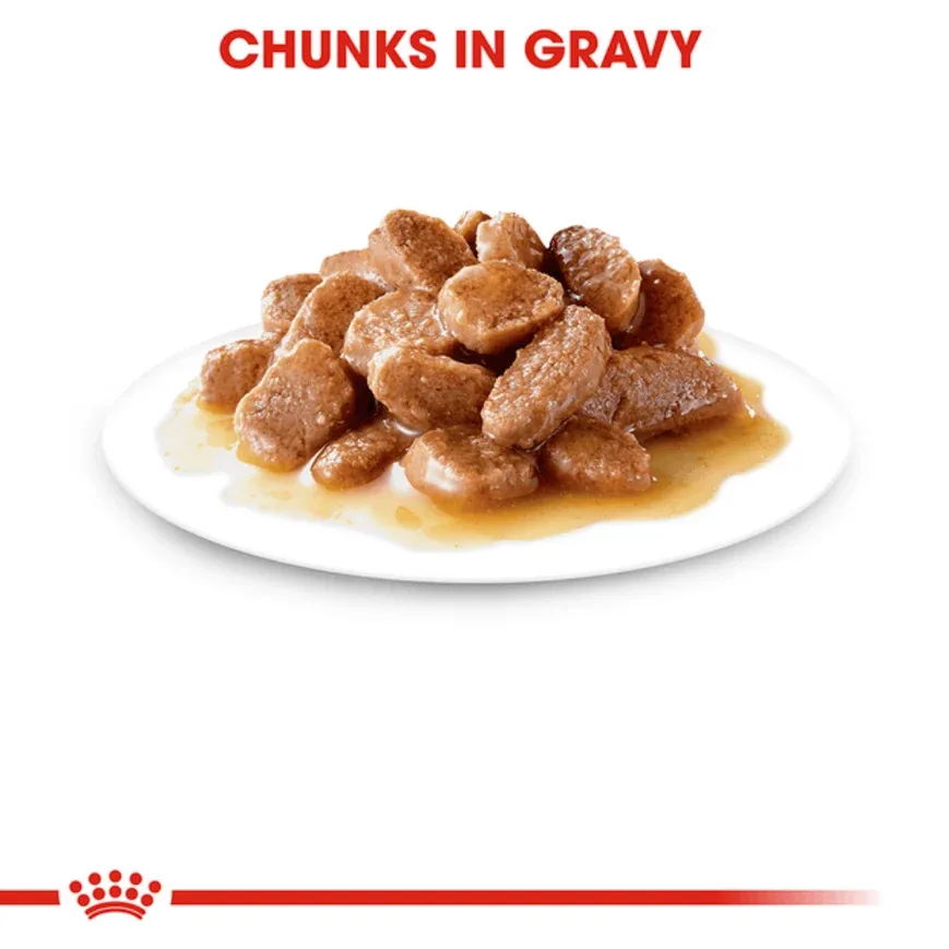Royal Canin Intense Beauty Adult Gravy Cat Wet Food - Image 2