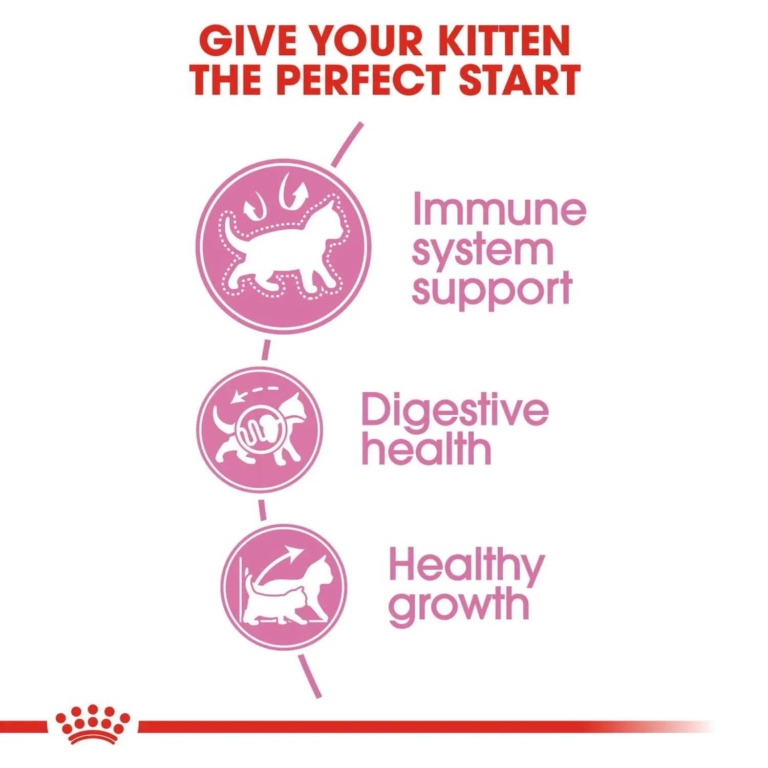 Royal Canin Kitten Dry Cat Food - Image 2