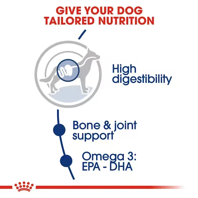 Royal Canin Maxi Adult Dog Dry Food - Image 2
