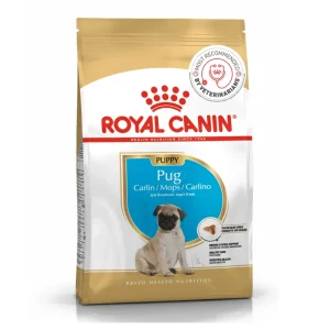 Royal Canin Pug Junior Dog Dry Food