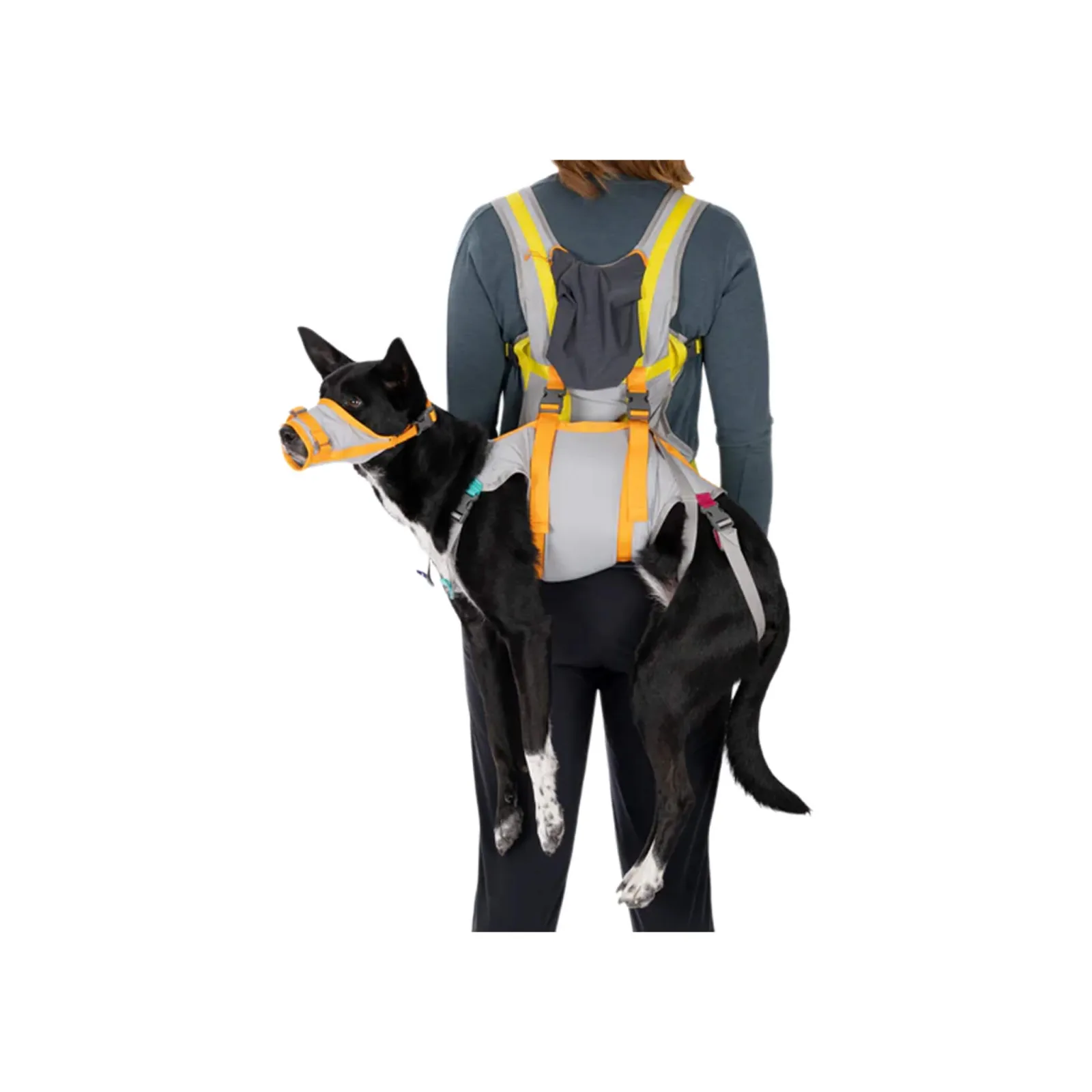 Ruffwear BackTrak Dog Evacuation Kit - Image 2