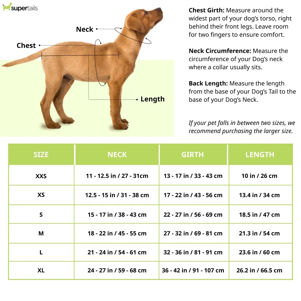 Ruffwear Climate Changer Fleece Pullover for Dogs (Blossom) - Image 2