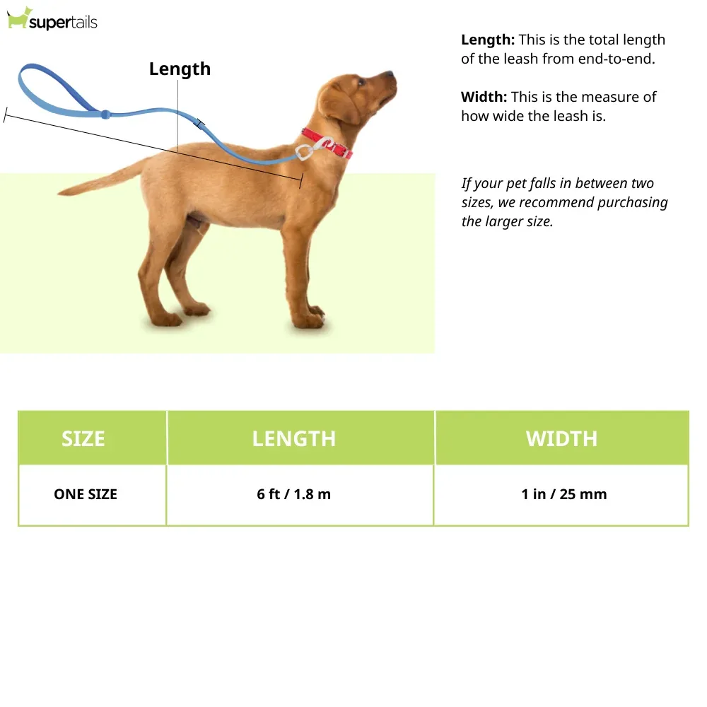 Ruffwear Flat Out Leash for Dogs (Fall Mountains) - Image 2