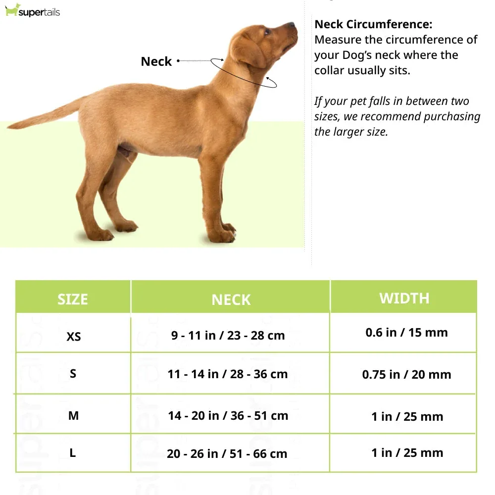 Ruffwear Hi & Light Lightweight Collar for Dogs (Sage Green) - Image 2