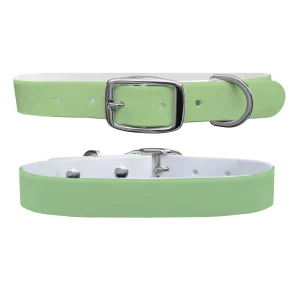 Sage Dog Collar