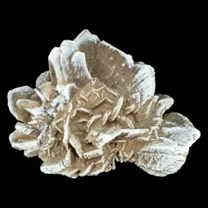 Sandrose Flat Bottom Md