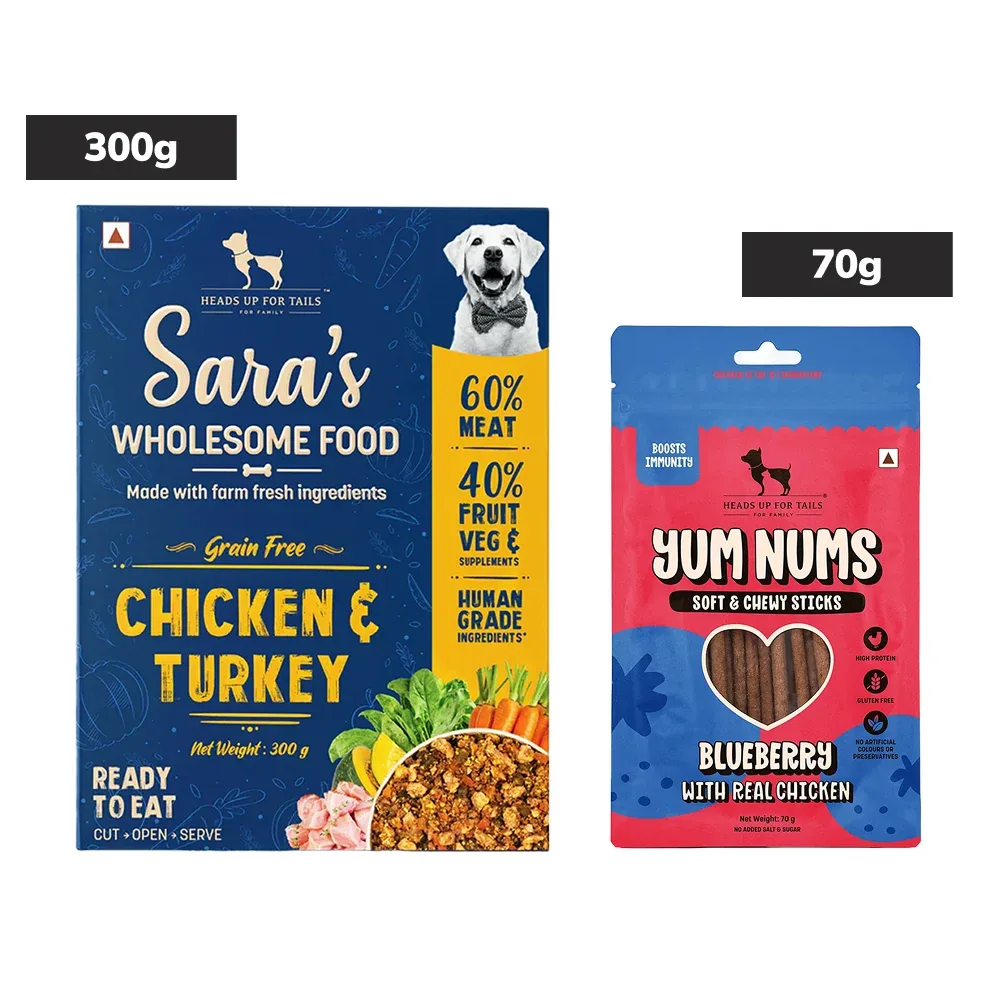 Sara's Wholesome Grain Free Chicken & Turkey Wet Food and Yum Nums Blueberry with Real Chicken Soft & Chewy Sticks Dog Treats Combo