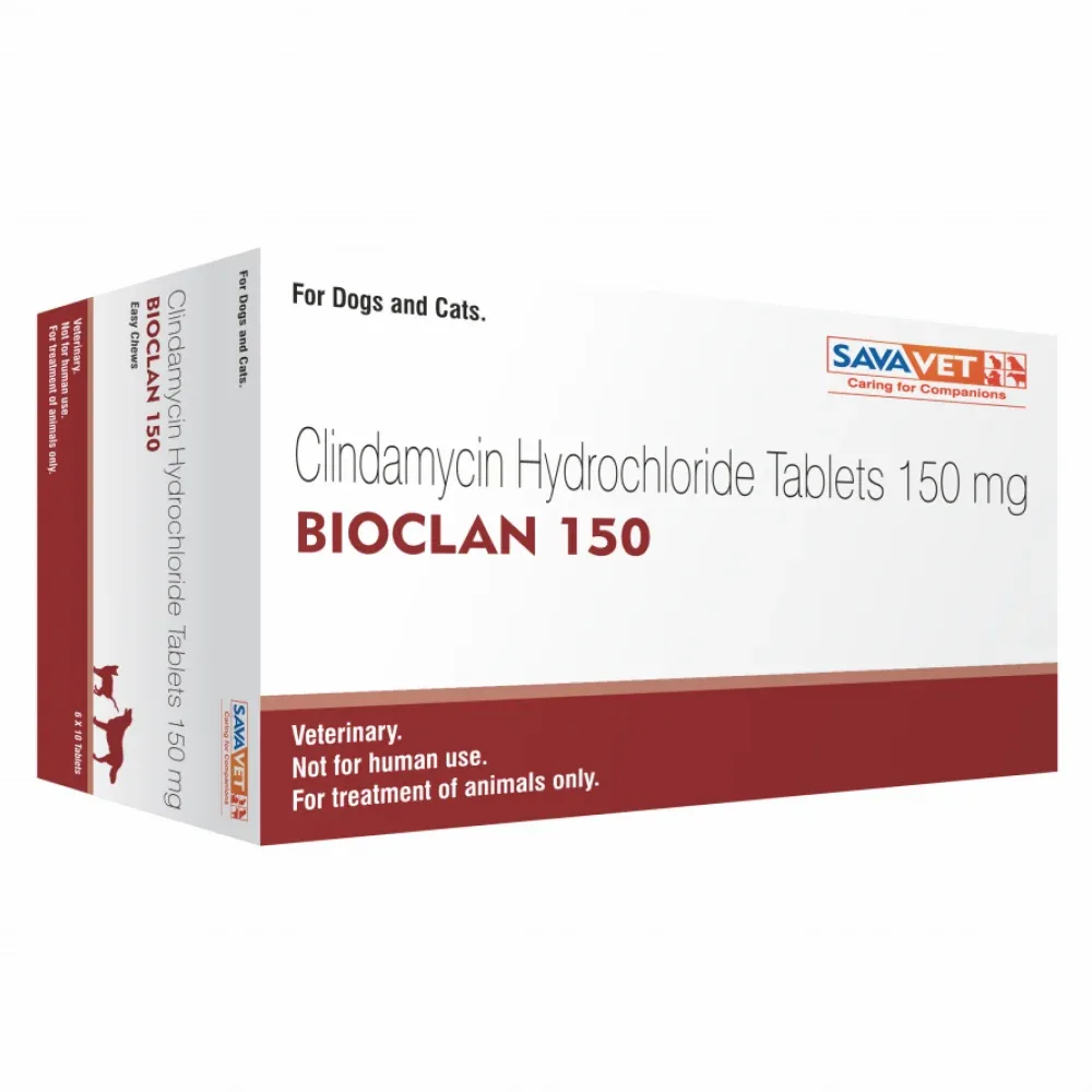 Savavet Bioclan (Clindamycin) Tablet for Dogs and Cats (pack of 10 tablets) - Image 2
