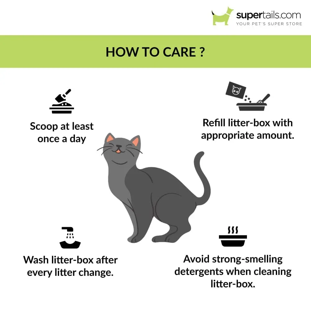 Savic Iriz Litter Tray with Rim for Cats (Cold Grey) - Image 2