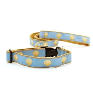 Scallop Shells on Light Blue