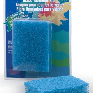 Scrubber Pad (Glass)