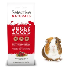 Selective Naturals Berry Loops for Guinea Pigs