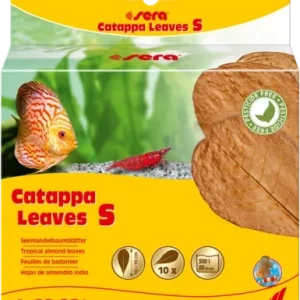 sera Catappa Leaves