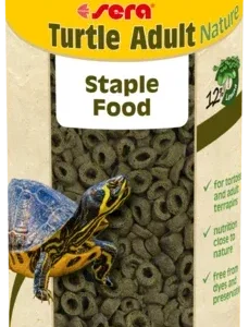 sera Turtle Adult Nature