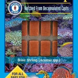 SFBB Baby Brine Shrimp