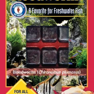 SFBB Bloodworms