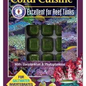 SFBB Coral Cuisine
