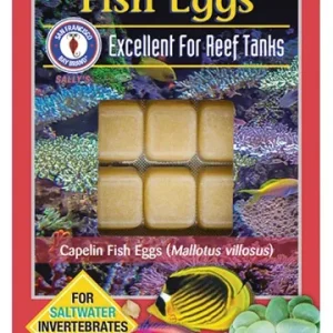 SFBB Fish Eggs