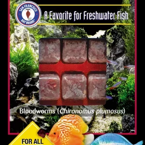 SFBB Mini-Bloodworms