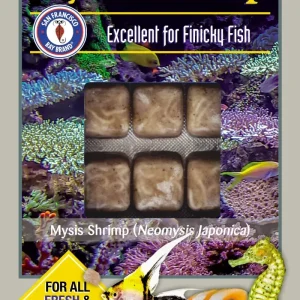 SFBB Mysis Shrimp